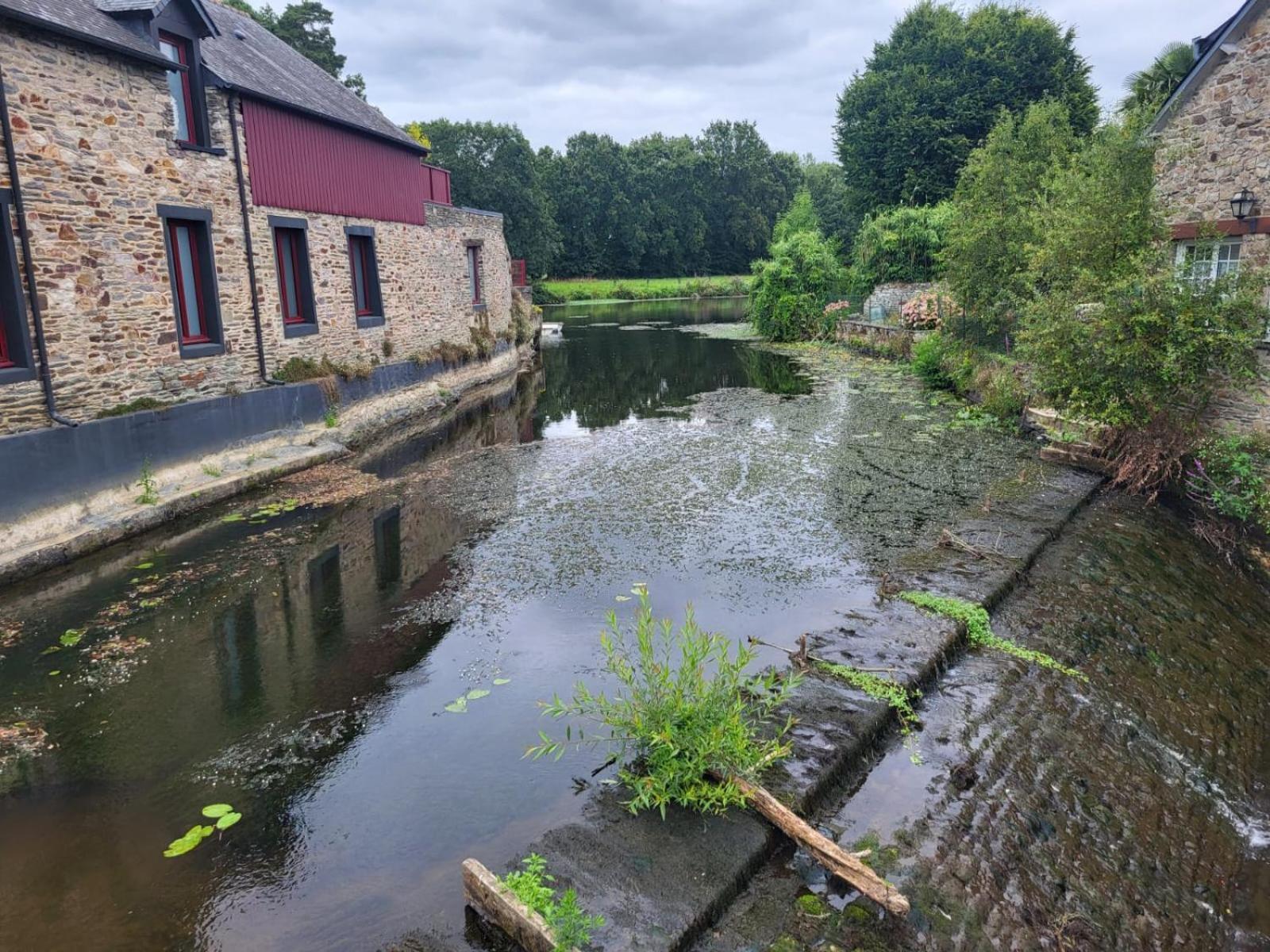 Gite De La Muse Centre Ville - Jardin Sérent Buitenkant foto